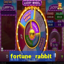 fortune rabbit 5gbet Informational